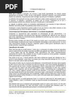 VIVEIROS FLORESTAIS