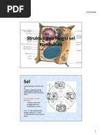 Download Struktur Dan Fungsi Sel Tumbuhan by sherly_sepatu SN56433670 doc pdf