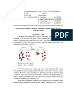 Minggu 5 - Muhammad Zhafran Iffat Taqy Arif - F4401211009 - Perubahan Energi Cahaya Menjadi Energi Kimia