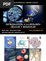 Download 01-Introduccion_Biologia Celular y Molecular by Anibal Cubas Leon SN56435433 doc pdf