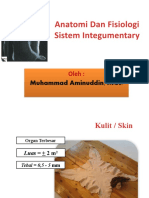 RPP 2 Anfis Sistem Integumen