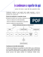 CONDENSARE Proiect La Geografie