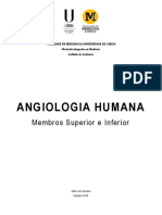 Angiologia Humana - v7.21 - Membros Superior e Inferior