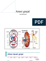 Arteri ginjal