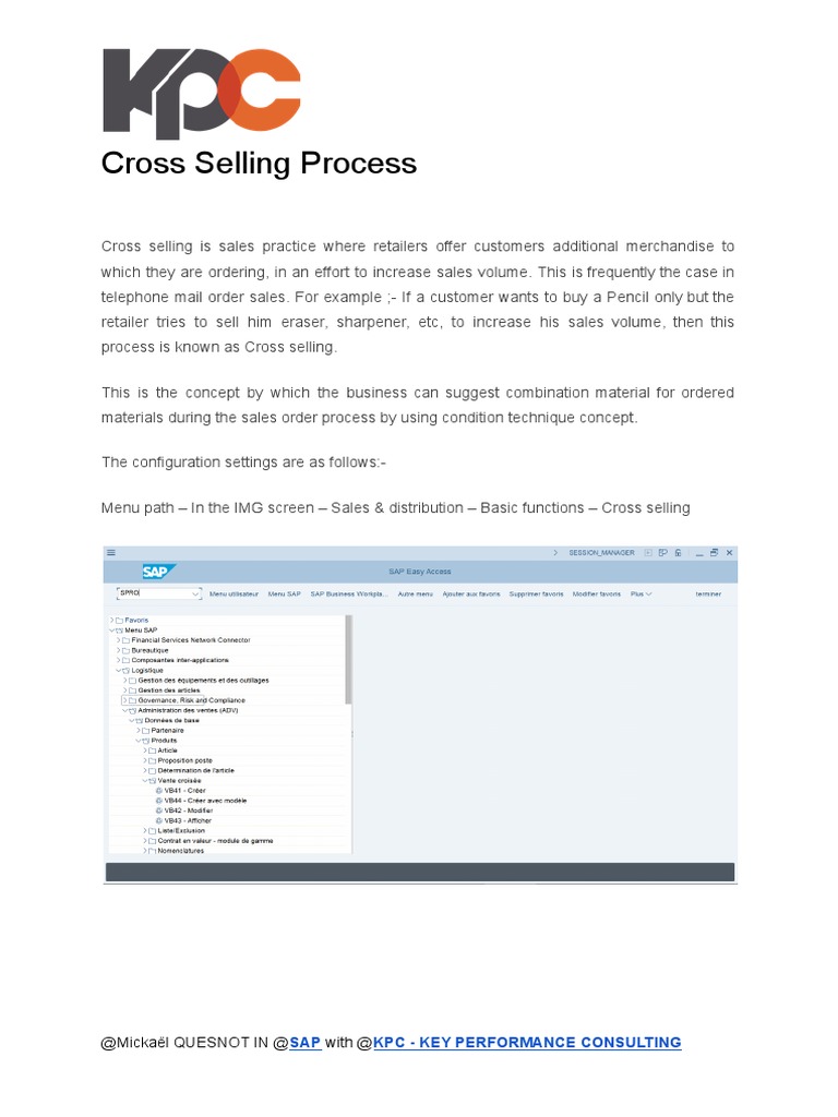 SAP Cross Selling Configuration Guide | PDF | Sales | Marketing