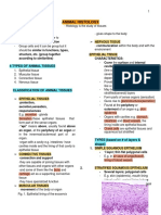 Animal Histology: 4 Types of Animal Tissues