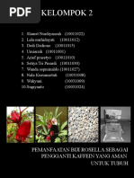 Download Pemanfaatan Biji Rosella Sebagai Pengganti Kaffein Yang Aman by Chiimute SN56438324 doc pdf