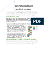 Tema 4 - Genética Molecular Versión Completa