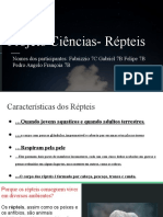 Gabriel de Araujo Pereira - Répteis- Projeto de Ciências