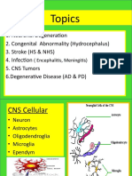 PA 2-1 Neuropatologi