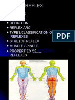 Reflexes: Anatomy, Types, Functions