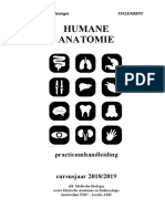 Practicum Handleiding Humane Anatomie