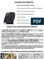 PDF - Sociologia Do Direito