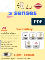 5 Senses