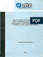 DISSERTAÇÃO - Alguns Aspectos Da Enxertia de Mesa Com Forçagem e Respostas Fisiológicas A Deficiência Hídrica Na Produção de Mudas de Videira