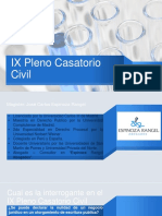 IX Pleno Casatorio Civil