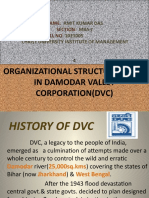 DVC Organizational Structure and Power Generation