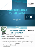 SINDESMOLOGIA VETERINaRIA