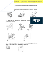 Evaluación Diagnóstica Ciencias 2 Basico