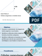 Ciências Morfofuncionais Do Sistema Imune e Hematológico: Aula Prática 2 Células Sanguíneas e Medula Óssea