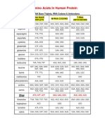 Table of DNA Base Triplet