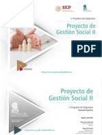 06 Proyectos Gestion Social II