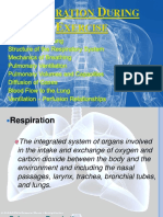 Respiration During Exercise