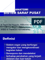 6 anatomi sistem persarafan