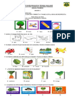 Cognitiva Completa Grado 1 Sesión 2