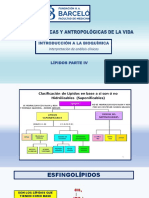 PDF Lípidos IV Esfingo