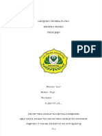 PDF LP Kalazion