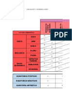 Matriz de Evaluacion de Impactos - Luna Dulanto Catherine