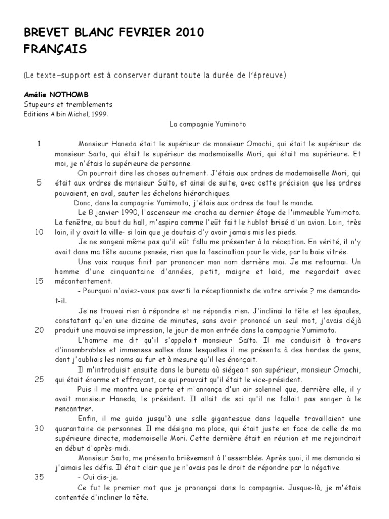 Au Revoir La Haut Brevet Correction BrevetBlanc 2010 | PDF | Linguistique | Sémiotique