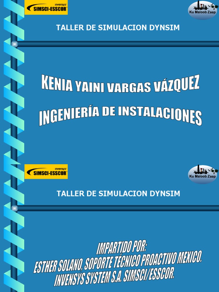 Dynsim | PDF | Simulación | Ingenieria Eléctrica