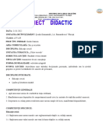 Proiect Educație Civică - Gcarmen