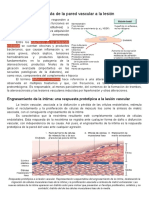 Ut10 - Patologia Vascular