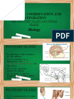 Chemical Coordination and Integration: The Pituitary Gland and Pineal Gland