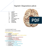 Átdolgozott Biosz 4. Óra (Agyidegek Vegetatív Idegrendszer Pályái)