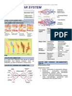 7.2 Muscular System: Human Anatomy and Physiology With Pathophysiology Lecture