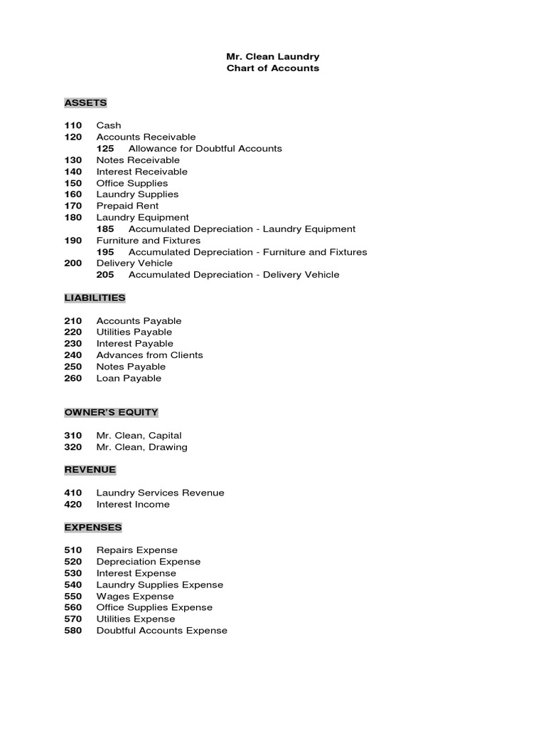 MR Clean Laundry Chart of Accounts PDF