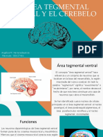 Exposición 1 de Psifisiologia - Angélica Herrera