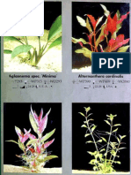 Oriental Plant Catalogue