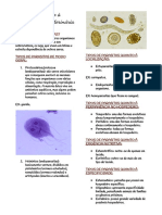 Introdução À Parasitologia Veterinária