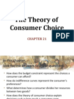 Consumer Choice Theory Explained