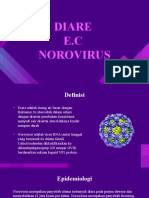 3d. Norovirus