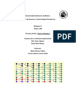 Práctica de La Deriva Genética (Por Descarte)