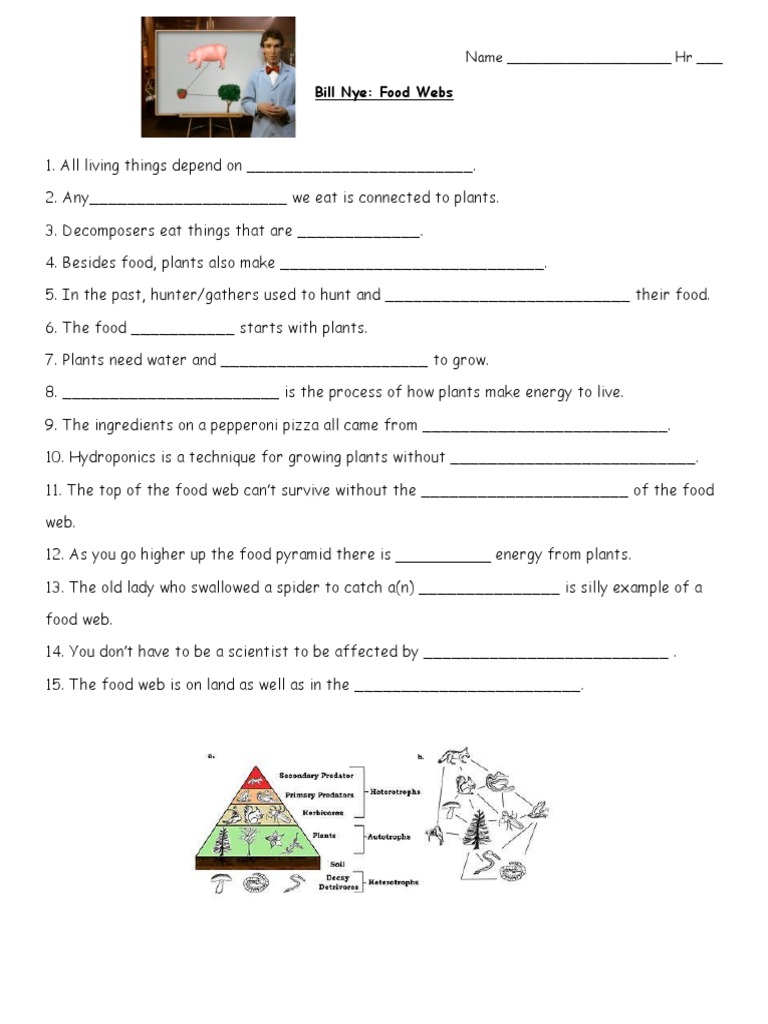 Bill Nye Food WebsViewing Guide PDF