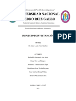 Informe Del Proyecto de Investigación