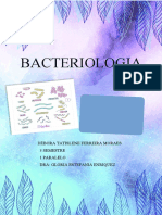 Bacteriologia Apuntes