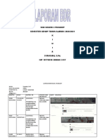 LAPORAN BDR. februari 21